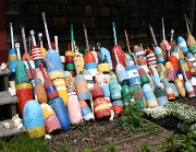 Lobster Bouys